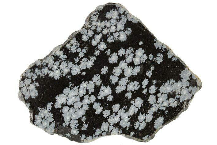 Polished Snowflake Obsidian Section - Utah #114200